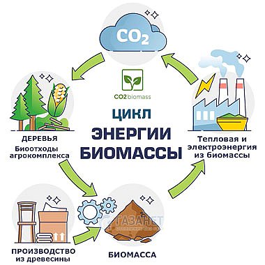 Цикл энергии биомассы